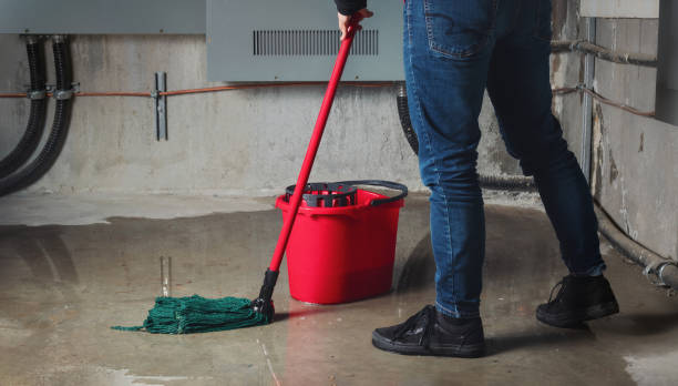 Cutchogue, NY Water damage restoration Pros