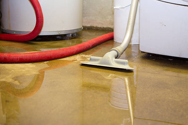 Best Ceiling water damage repair  in Cutchogue, NY