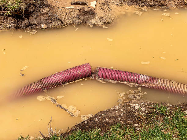 Best Residential water damage restoration  in Cutchogue, NY