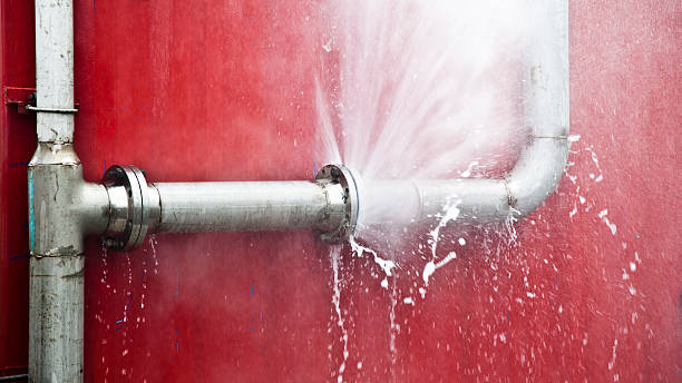 Best Carpet water damage restoration  in Cutchogue, NY